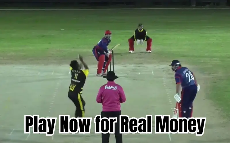 How to Analyze A Four CC Cricket Trends on MonyExch 1 a four cc cricket