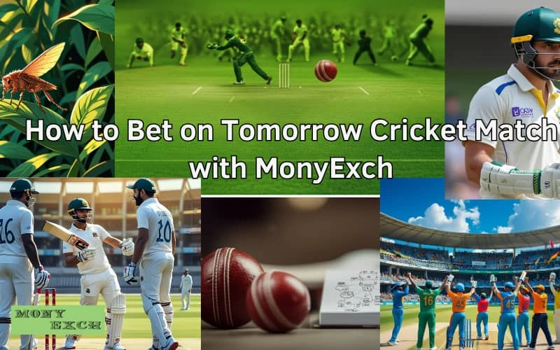 tomorrow cricket match