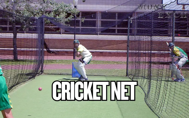 cricket net