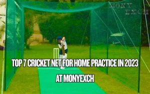 cricket net